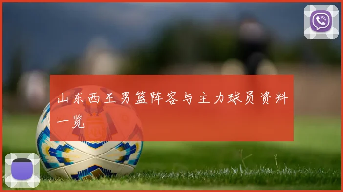 山东西王男篮阵容与主力球员资料一览